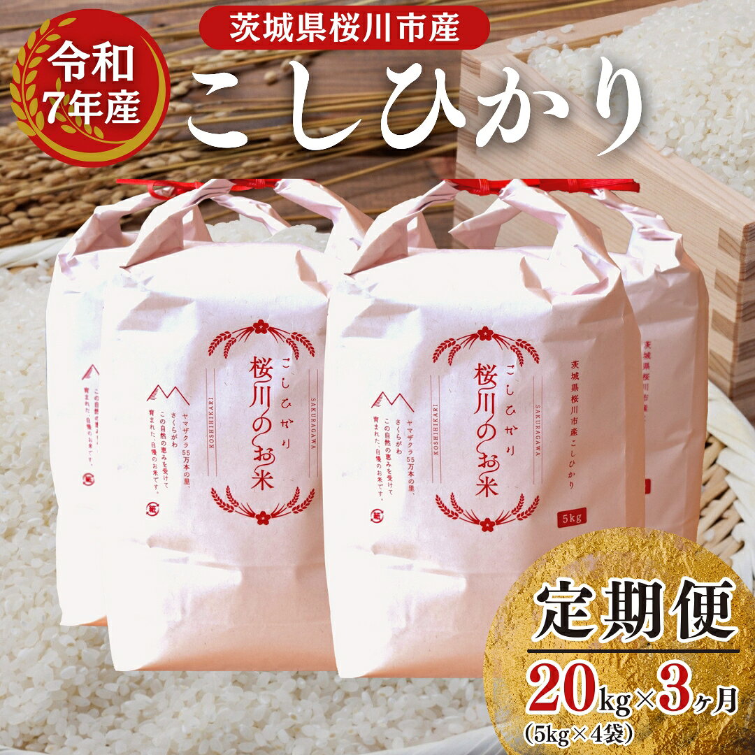 【ふるさと納税】《 3ヶ月 定期便 》《生産者支援》令和7年産 茨城県桜川市産 こしひかり 20kg ( 5kg × 4袋 ) × 3回 茨城県産 桜川 米 お米 白米 新米 コメ ごはん 精米 コシヒカリ 国産 限定 銘柄米