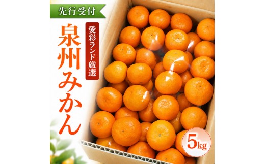 
                  泉州みかん 5kg 先行予約 愛彩ランド厳選 ミカン みかん 蜜柑 【数量限定】フルーツ 果物 くだもの 柑橘 旬の味覚 お取り寄せ 冬ギフト 贈り物 ギフト 家庭用 大阪府 岸和田市 [№5385-1312]
                
