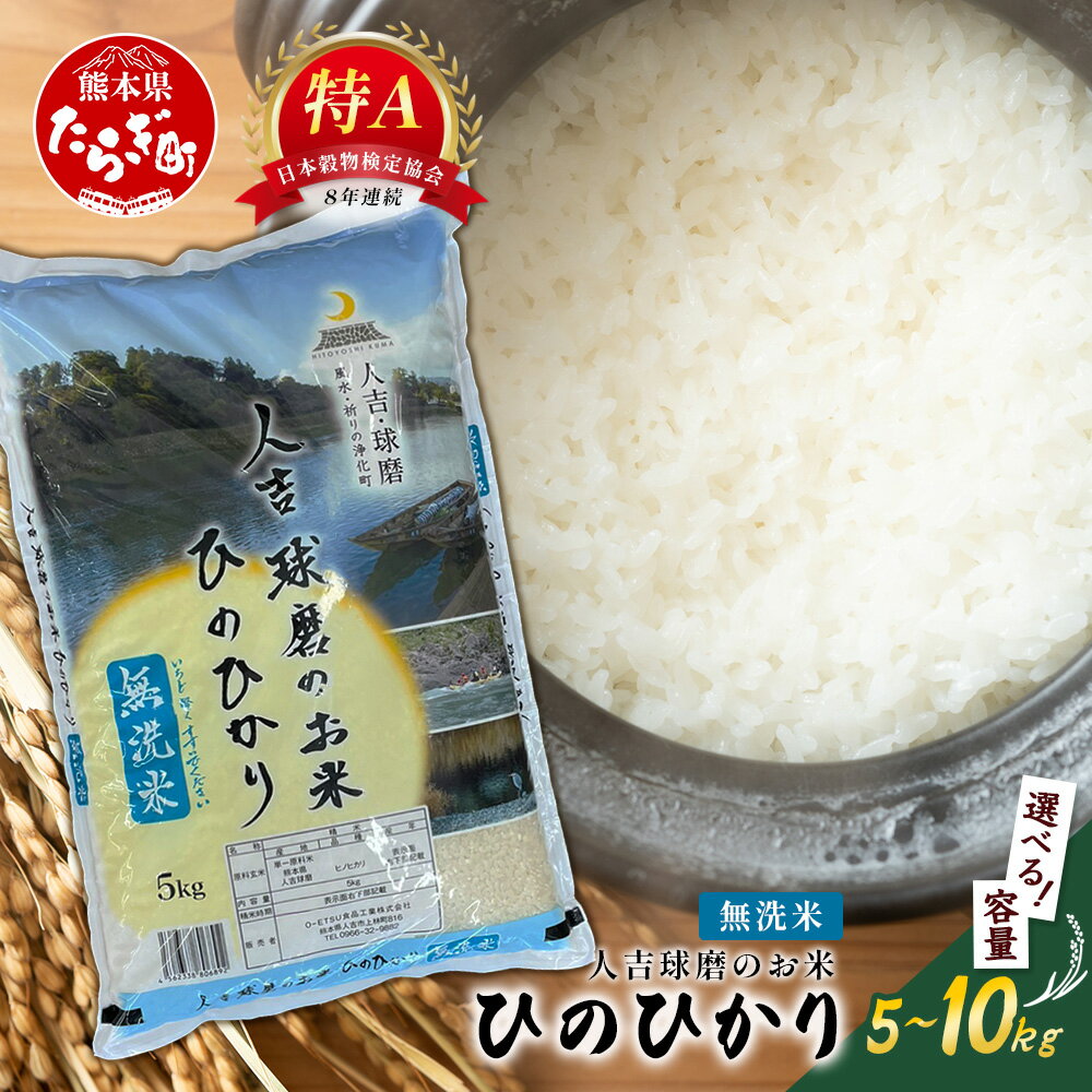 【ふるさと納税】人吉球磨のお米「ひのひかり」無洗米5kg〜10kg 精米 お米 ご飯 熊本県 ヒノヒカリ お米 精米 こめ コメ 国産 ブランド米 黄金晴 熊本県産5kg 10kg 送料無料