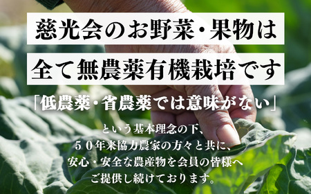 生命の農法（無化学農薬・無化学肥料栽培）じゃがいも（5kg）