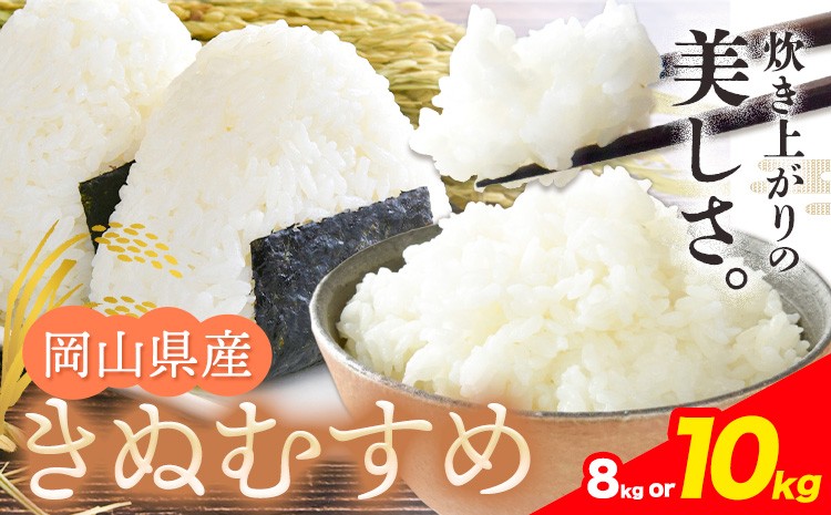 
            【令和7年産】 米 選べる 無洗米8kg 白米10kg お米 8キロ 10キロ 国産 岡山県産 きぬむすめ 8kg(2kg×4袋) 10kg(5kg×2袋) 全農パールライス株式会社《30日以内に出荷予定(土日祝除く)》 岡山県 浅口市 送料無料 こめ 精米 きぬむすめ お取り寄せ
          