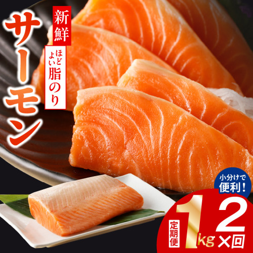 サーモン 定期便 1kg×全2回【ポーション 訳あり サイズ不揃い 刺身 海鮮丼 さーもん サラダ カルパッチョ 鮭 さけ シャケ しゃけ 人気 小分け 冷凍 家計応援】 099Z345