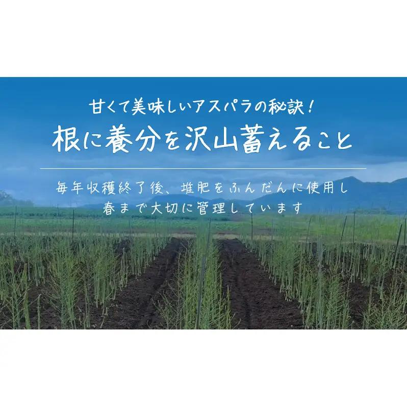 ［武田農園とれたて直送］2027年春～発送 グリーンアスパラ 2L 1kg やわらかくて抜群にあまい！北海道 富良野産 (アスパラガス アスパラ 野菜 新鮮 産地直送 先行予約 限定)