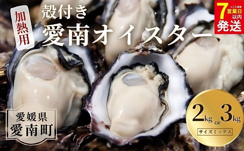 
            【7営業日以内発送】愛南 オイスター 2kg 3kg 先行予約 2025年 7月以降発送 牡蠣 加熱用 殻付き 三倍体 真牡蠣 ブランド 特産品 お取り寄せ グルメ 大粒 濃厚 クリーミー おいしい 新鮮 ご褒美 かき パスタ アヒージョ まがき 夏 産地 直送 愛南漁業協同組合 御荘支所 愛媛県 愛南町
          