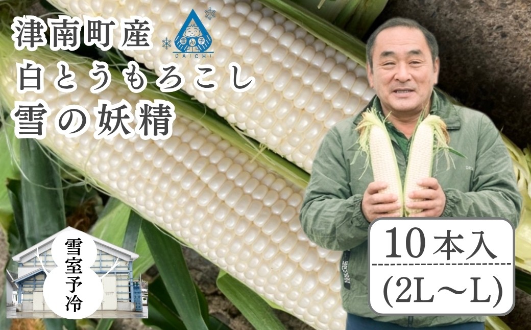 
                  【令和8年産先行予約】 白とうもろこし 雪の妖精  2L〜L 4kg 10本入 雪室予冷 | 朝 朝採れ とうもろこし スイートコーン トウモロコシ スィートコーン すいーとこーん 採れたて 新鮮 旬 産地直送 津南町 有限会社大地
                
