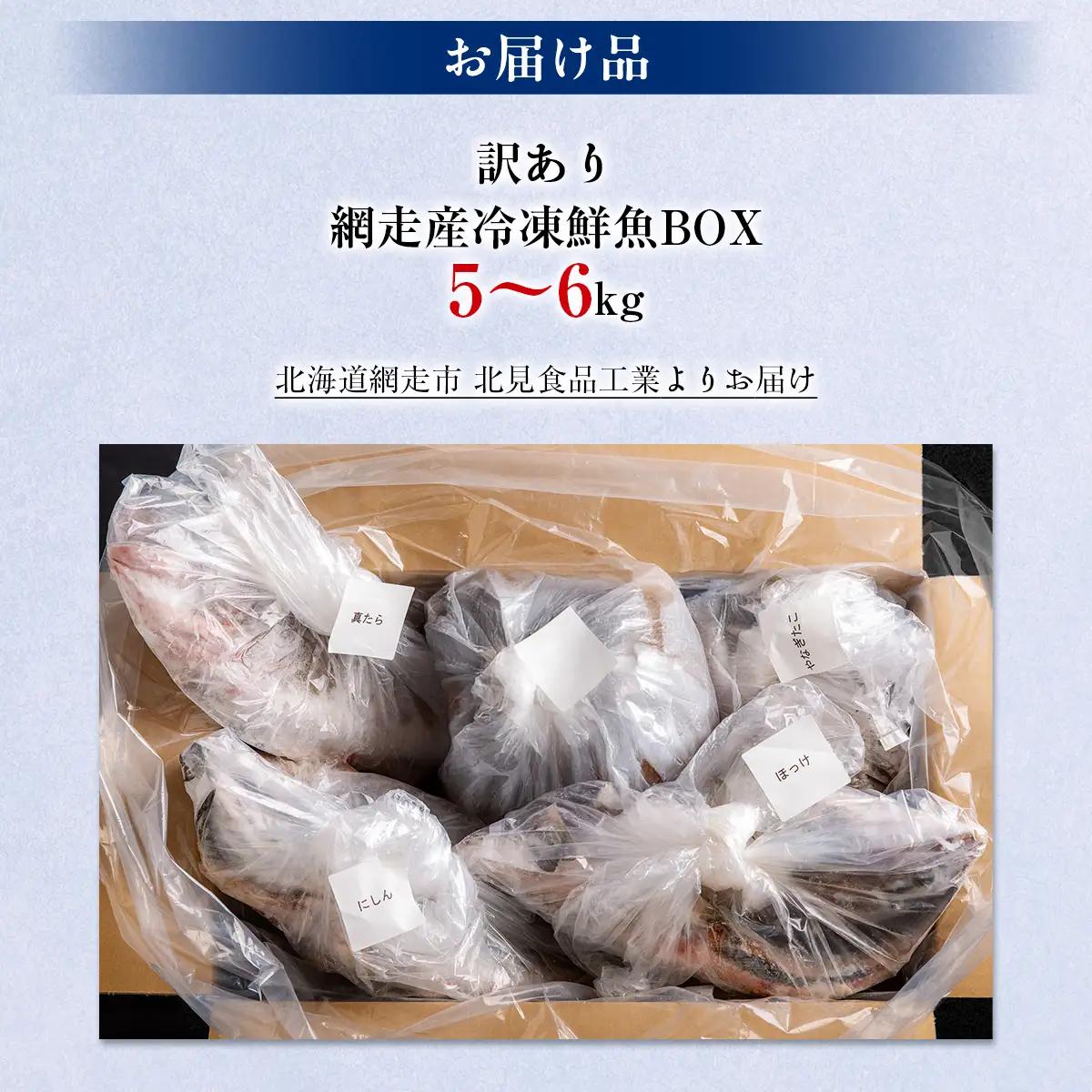 【先行予約】【訳あり】網走産冷凍鮮魚BOX～未利用魚の有効活用（漁業生産者応援企画）～【令和8年4月より順次発送】 ABAE011