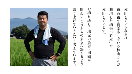 真壁 MAKABE 火入れ 500ml 地酒 純米吟醸 日本酒 米 村井醸造 国産 乳酸菌 お酒 [ET002sa]