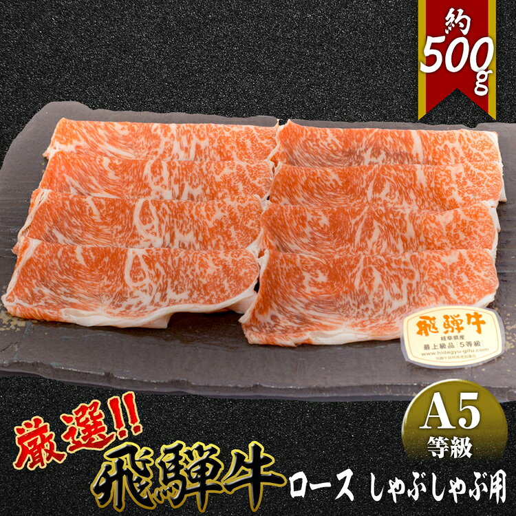 【ふるさと納税】店主こだわり雌牛 飛騨牛A5等級　ロース　しゃぶしゃぶ用　約500g [No.039] ／ 牛肉 ブランド牛 鍋 メス牛 冷凍 送料無料 岐阜県 特産