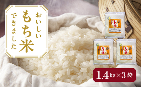もち米 滋賀羽二重糯 計4.2kg 特別栽培米 もち米／TONORI[AECT002]