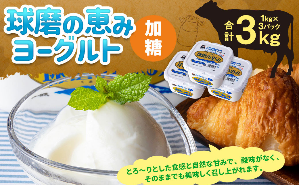 
球磨の恵み ヨーグルト(加糖) 3kg(1kg×3パック) ヨーグルト 加糖
