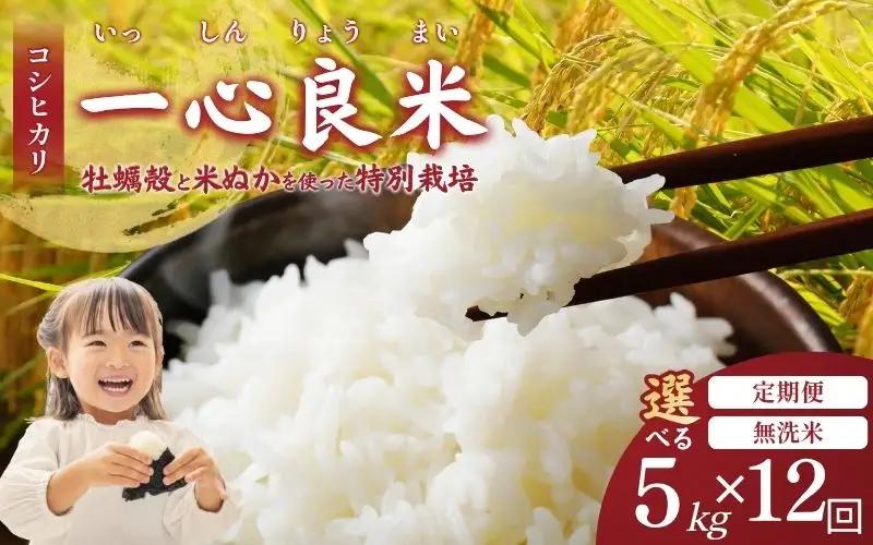 ＜全12回定期便＞ 米 岡山県産精米 令和7年産コシヒカリ無洗米 5kg×12回定期便 【tkns-tkb032-cho】