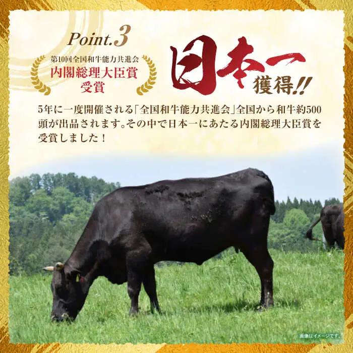 【12回定期便】長崎和牛肩ローススライス300g / 長崎和牛 和牛 国産牛 牛肉 すき焼き しゃぶしゃぶ / 諫早市 / 有限会社長崎フードサービス [AHDD011]