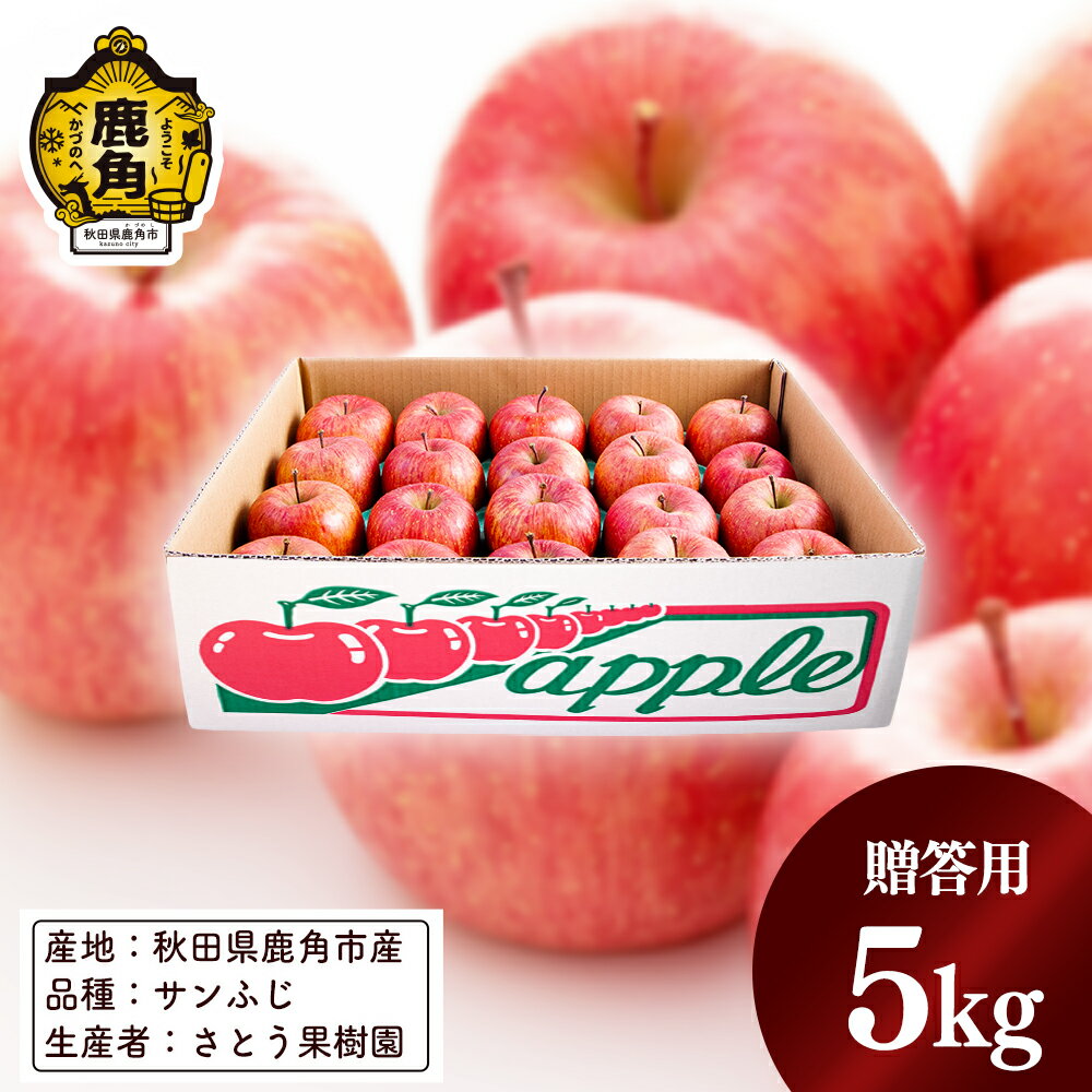 【ふるさと納税】《 先行予約 》 りんご サンふじ 贈答用 5kg 1段 ( 20玉前後 ) 甘い 食感 果汁 リンゴ 完熟 旬 県産りんご お中元 お歳暮 グルメ ギフト 故郷 秋田 あきた 鹿角市 鹿角 送料無料 【さとう果樹園】