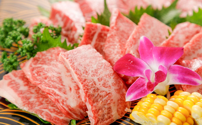 【全3回定期便】GI認証 くまもとあか牛 焼肉 約500g 計約1.5kg / 霜降り 高品質 あか牛 牛肉 熊本県 菊陽町【菊陽町(阿蘇牧場)】 [BHAZ026]