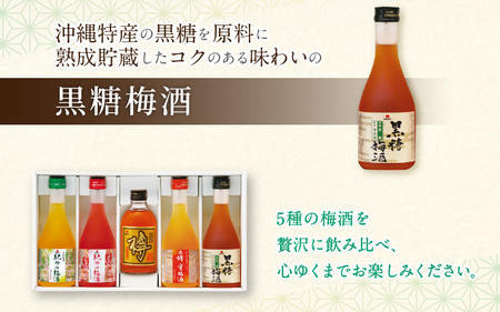 梅酒 紀州の梅酒 飲み比べ5本セット（白・赤・蜂蜜・黒糖・樽）300ml×5本 【mtgn109A】
