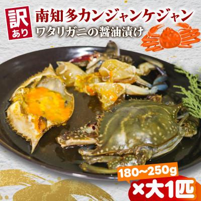 ふるさと納税 南知多町 訳あり　カンジャンケジャン　大サイズ(180g〜250g)×1匹