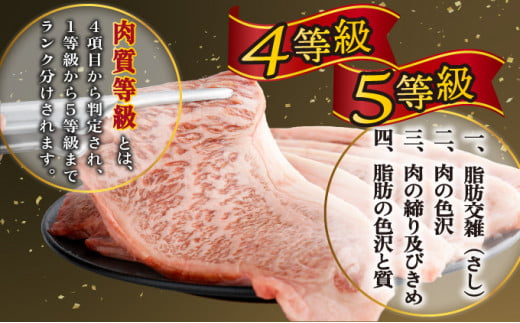 ＜2026年3月発送分＞宮崎牛ロースステーキ 200g×3枚 合計600g