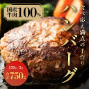 【ふるさと納税】（冷凍） 国産牛肉100％ 食べ応え満点 手作り・手ごね ハンバーグ 750g ／ 歩商事 自家製タレ 贈答用 ギフト 奈良県 田原本町