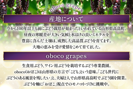 【期間限定発送】 ぶどう デラウェア 8～12房 約 1.5kg 朝採り [oboco grapes 山形県 高畠町 tk06ayt250002] 個包装 種無し ブドウ 葡萄 くだもの 果物 フルー
