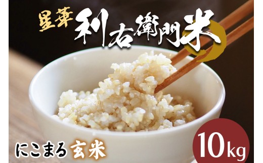 星華 利右衛門米 にこまる 玄米 10kg｜米 こめ コメ ごはん ご飯 [0303]