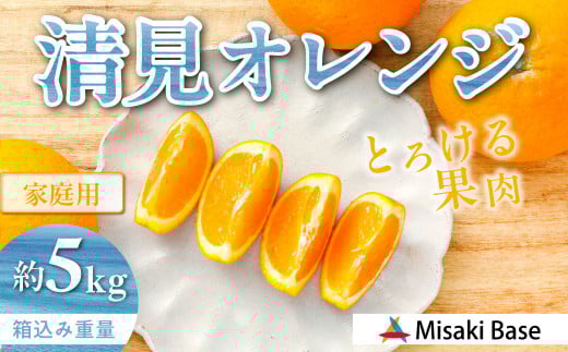 【先行受付】【家庭用】清見オレンジ 5kg ※離島への配送不可 （2026年3月中旬より順次発送）  【 ふるさと納税 人気 おすすめ ランキング みかん 柑橘 ミカン 蜜柑 mikan 果物 清見 清見オレンジ フルーツ 糖度 甘い きよみ タンゴール 温州 オレンジ 家庭用 おすそ分け Misaki Base 愛媛県 伊方町 送料無料 】 IKTAB007 