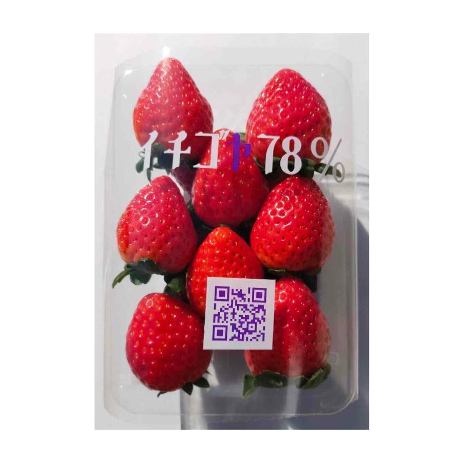 ＜イチゴヤ78％＞とちおとめ(260g×4パック) 定期便3カ月コース【12月下旬～2月下旬お届け】