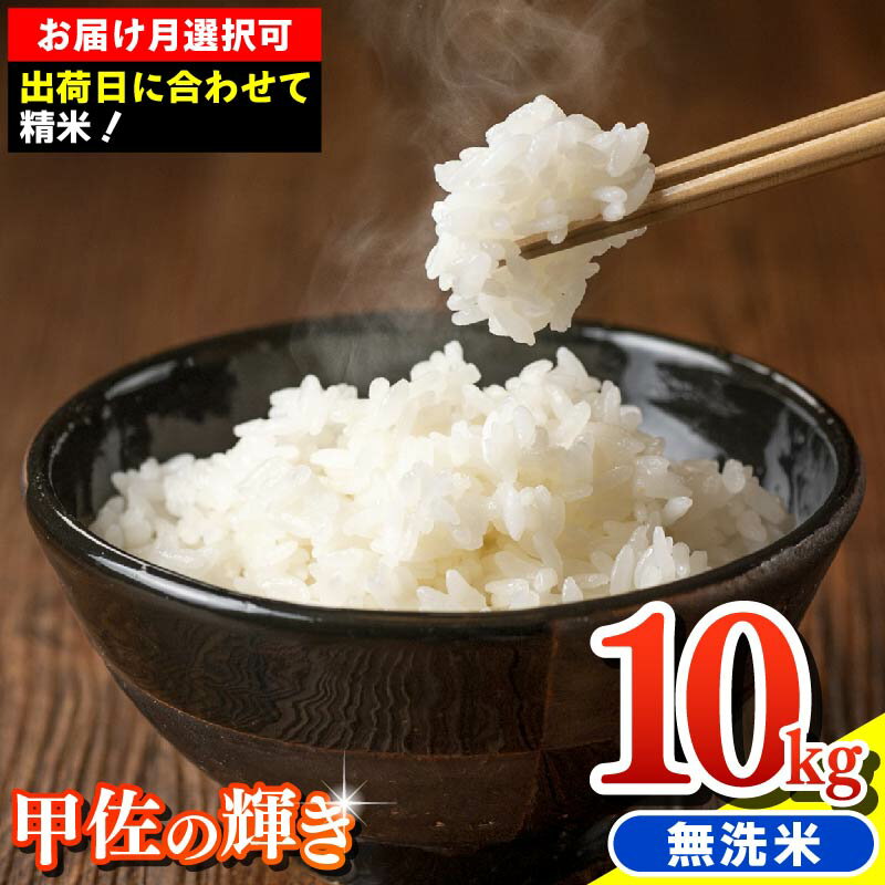 【ふるさと納税】【先行受付】新米 令和7年産『甲佐の輝き』無洗米10kg（5kg×2袋）【配送月選択可！】／出荷日に合わせて精米 - 国産 白米 無洗米 お米 ブレンド米 複数原料米 訳あり 厳選 マイスター 生活応援 おすすめ 熊本県 甲佐町 【価格改定XH】