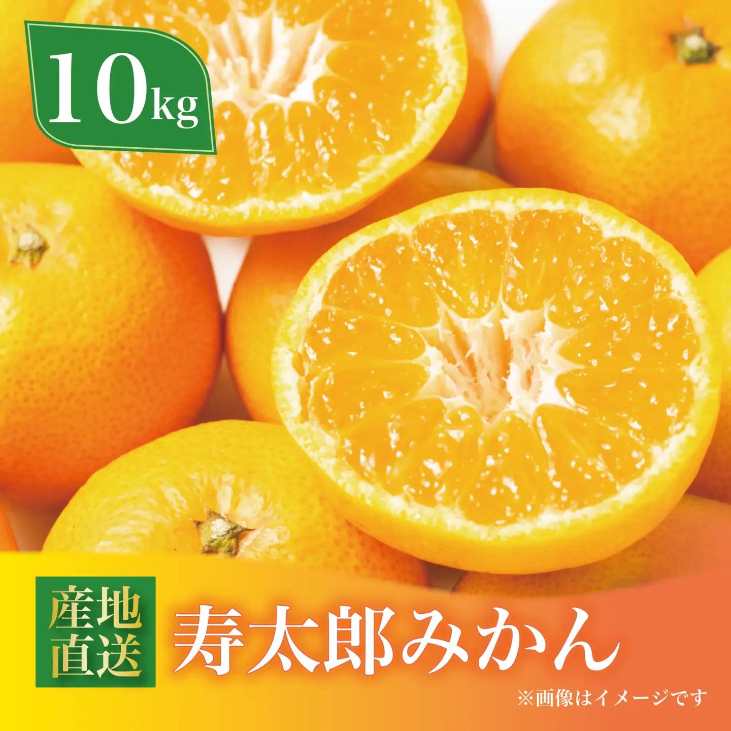 寿太郎みかん 約10kg みかん 蜜柑