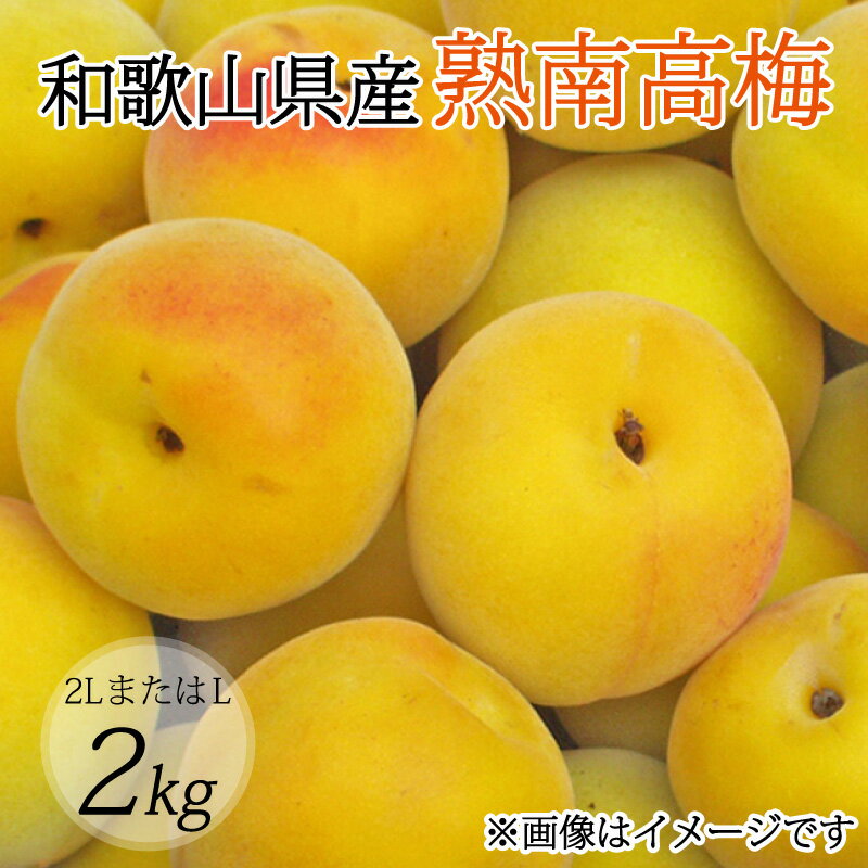 【ふるさと納税】 【梅干・梅酒用】（2LまたはL−2Kg）熟南高梅＜2025年6月上旬〜7月上旬ごろに順次発送予定＞ (お届け日指定不可)
