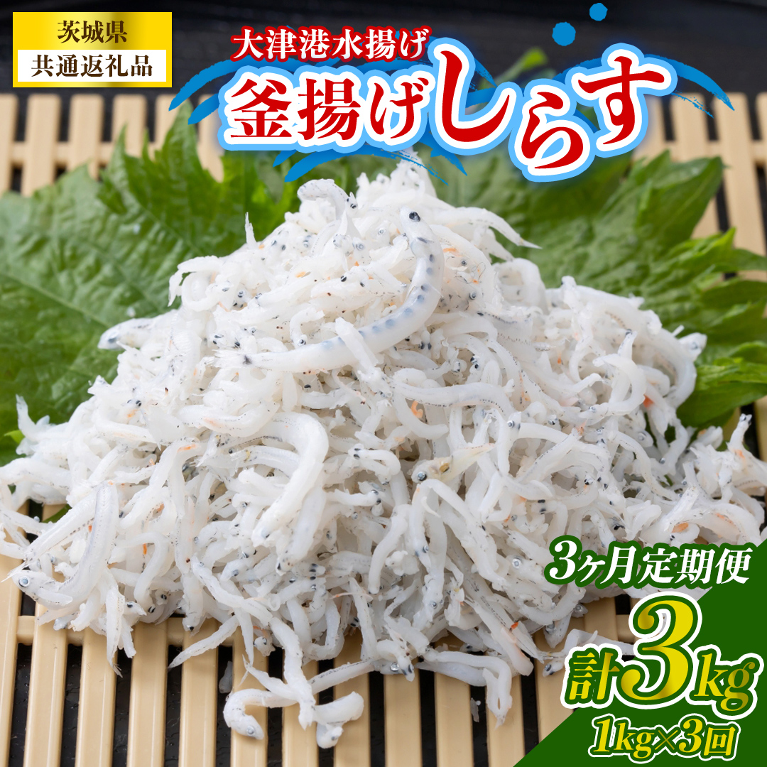 【3回定期便】大津港水揚げの釜揚げしらす 1kg(250g×2パック×2箱) (茨城県共通返礼品:北茨城市) (BC023)