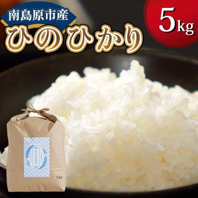 ふるさと納税 南島原市 【毎月定期便】【南島原市産】ひのひかり5kg　林田米穀店全6回
