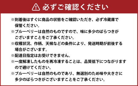 二戸産 冷凍 ブルーベリー 約2kg （無選別） 【2024年7月下旬発送開始】／フルーツ 果物 くだもの ベリー