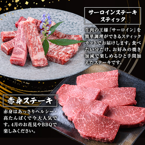 ＜定期便・全5回＞カミチク 特選黒毛和牛定期便 国産 鹿児島県産 黒毛和牛 【カミチク】T10