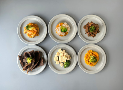 伊勢海悠 Con Perro 〜グランドッグ伊勢賢島~ 宿泊ギフト券 【3,000円分】