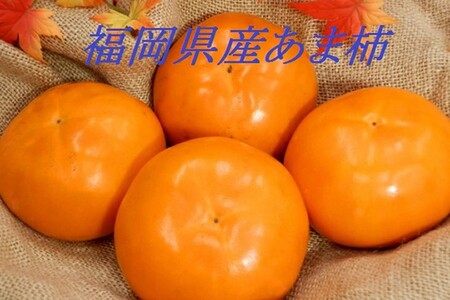 青果市場厳選 「冷蔵」あま柿＜2026年1月から発送開始分先行予約＞(柿 かき カキ 果物 フルーツ 冷蔵 あま柿)【B-211】