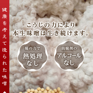 味噌 白 手造り 職人 約800g×3袋+3年 赤味噌 約120g (a12-237)