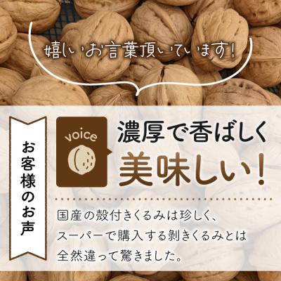 ふるさと納税 東御市 2026年産 長野県東御市産 殻付き信濃くるみ 500g(品種 東晃) |  | 03