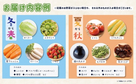 直売所からお届け！旬の野菜セット（8～10品詰め合わせ）JA 新鮮な野菜直送便 糸魚川 新潟 【大根･白菜･春菊･アスパラ菜･しいたけ･ほうれん草･ふきのとう･タラの芽･山菜･にんじん･イチゴ･トマト