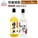 【ふるさと納税】樽御輿・はなてばこ 25度 720ml 2本セット 各1本 合計1,440ml 球磨焼酎 純米焼酎 お酒 アルコール 福田酒造 送料無料