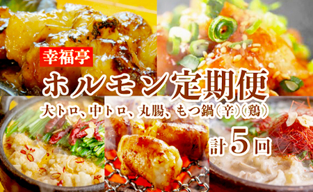 【5回定期便】 幸福亭 ホルモン定期便 毎月お届け