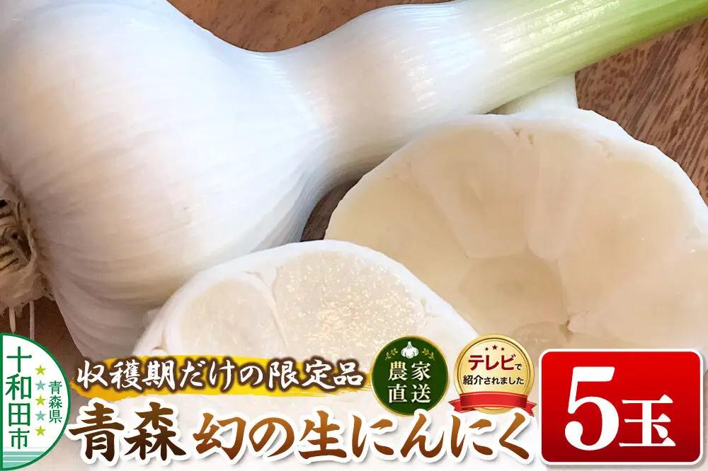 先行受付【テレビ紹介】青森 幻の生にんにく5玉（農家直送・収穫期だけの限定品） 青森にんにくファーム