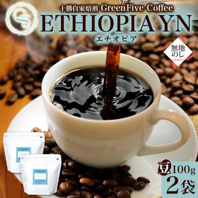 ふるさと納税 帯広市 熨斗 コーヒー豆 エチオピア 100g 2袋 品質すべてにこだわったコーヒー 北海道 帯広市