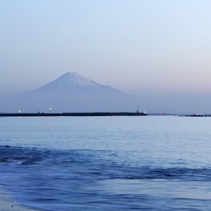 125-2　海まで0分の宿　ペットも泊まれる海岸通り　ペア宿泊券（金目鯛コース）