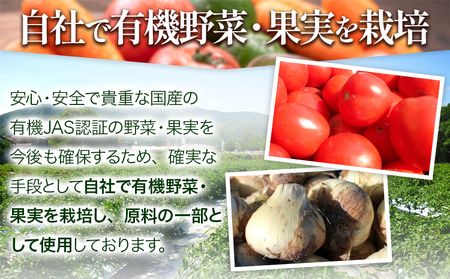 オーガニック クラフトコーラシロップ  6本 希釈タイプ 