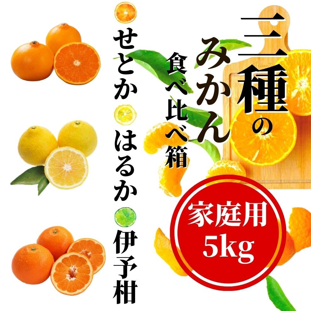
                  《2027年2月頃から順次発送》【三種のみかん食べ比べ箱】せとか・はるか・宮内伊予柑 （家庭用）5kg | 愛媛 みかん 蜜柑 柑橘 果物 くだもの フルーツ お取り寄せ グルメ 期間限定 数量限定 人気 おすすめ 愛媛県 松山市
                