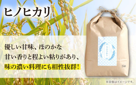 【2か月毎定期便】10kg×6回 定期便 / ひのひかり 米 お米 こめ コメ 精米 / 南島原市 / 林田米穀店 [SCO005]