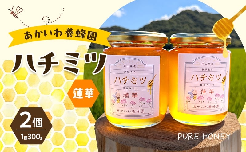 
            はちみつ 蓮華蜂蜜 1個300g 2個入り ハチミツ 蜂蜜 れんげ 天然 非加熱 岡山 赤磐市
          