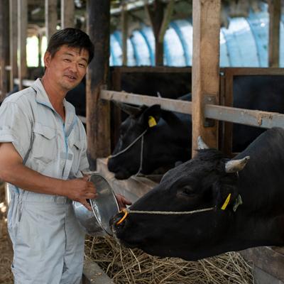 ふるさと納税 茨城県 令和6年産 茨城県産 常陸牛農家が育てた コシヒカリ 精米 5kg |  | 03