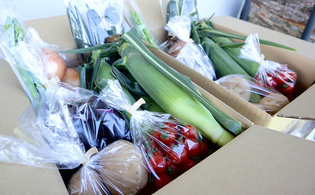 【里山JAPAN】長野県東御市産生きた土壌で育った『季節の野菜セット』（７〜８品目）