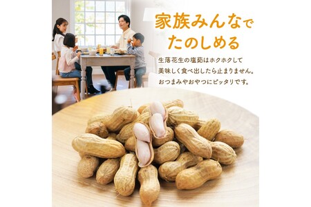 【数量限定50】農家直送　生落花生(おおまさり)　300g×4袋　レシピ付き